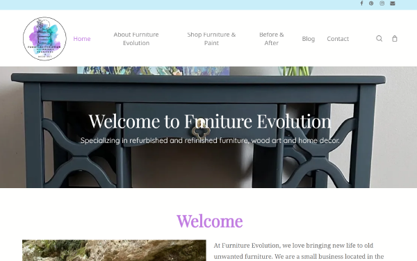 Furniture Evolution website home page